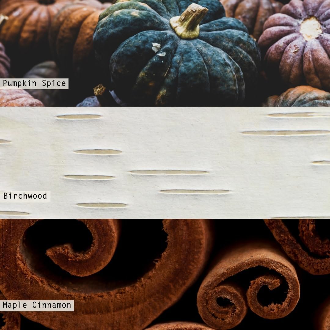 ILLUME Noble Holiday Collection Midnight Pumpkin Demi Vanity Tin Candle, 3 oz