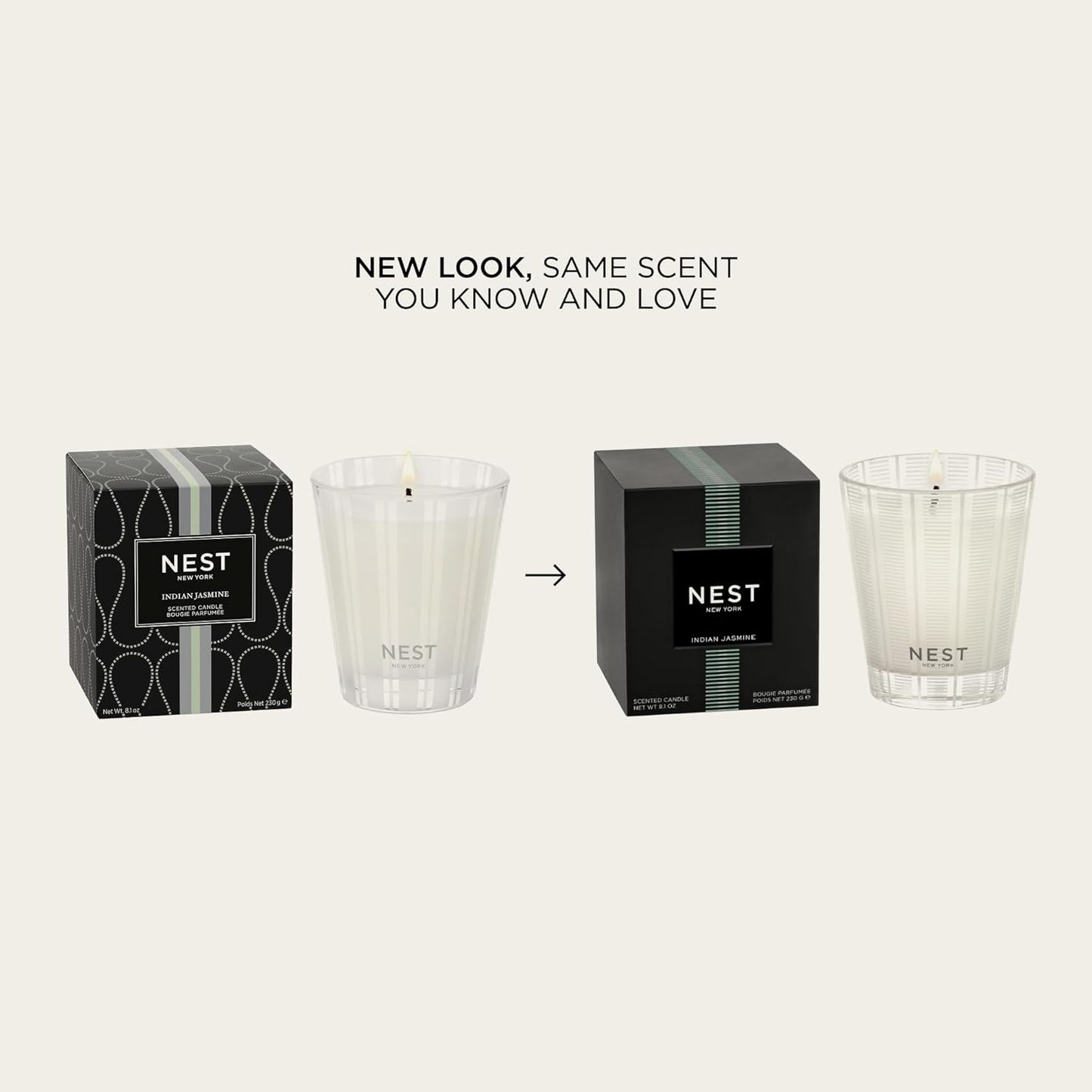 NEST New York Scented Classic Candle, Indian Jasmine - 8.1 oz - Up to 60-Hour Burn Time - Reusable Glass Vessel