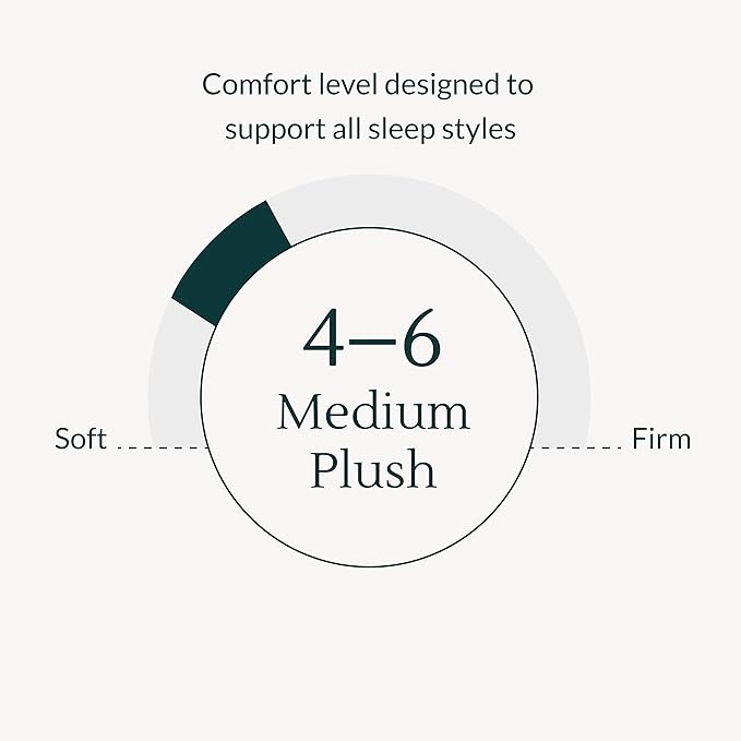 Leesa Legend Hybrid 12" Mattress, Twin XL Size Luxury Dual Hybrid/CertiPUR-US Certified/with Organic Cotton Mattress Cover / 100-Night Trial