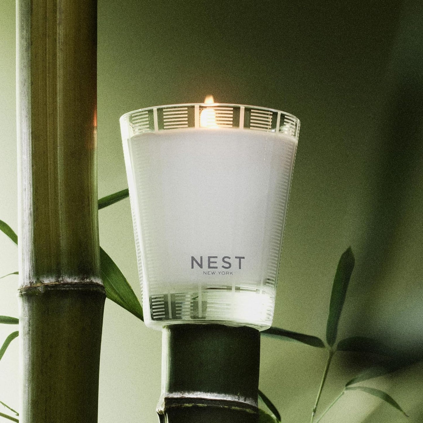 NEST New York Scented Classic Candle, Bamboo - 8.1 oz - Up to 60-Hour Burn Time - Reusable Glass Vessel